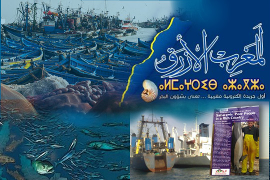 حماية الثروة السمكية بالجنوب المغربي بين استثمار البوليساريو و تقاعس المغرب