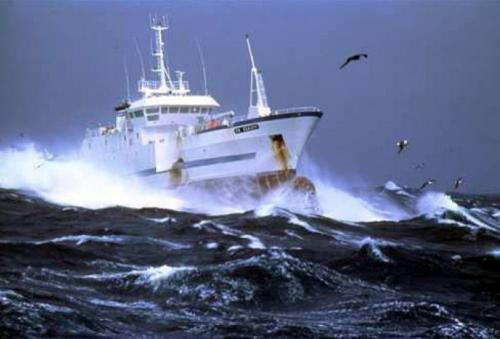 TAAF : Vers un programme commun de nouveaux palangriers