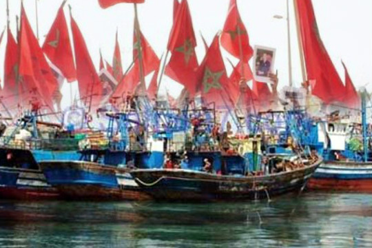 اسطول صيد السردين بميناء العيون يهدد بمسيرة تحرير مصيدة المخزون”س”””