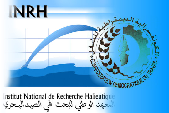 مهندسو و أطر المعهد الوطني للبحث في الصيد البحري متذمرون