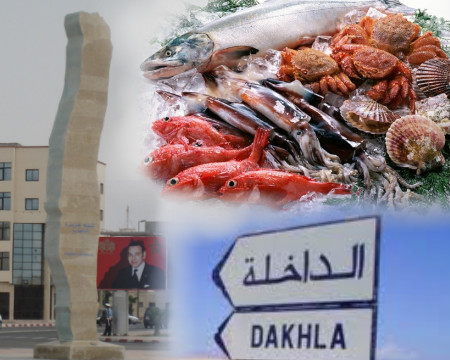 المغرب الأزرق تحقق في صحة بلاغات و بيانات صادرة عن جمعيات بالداخلة