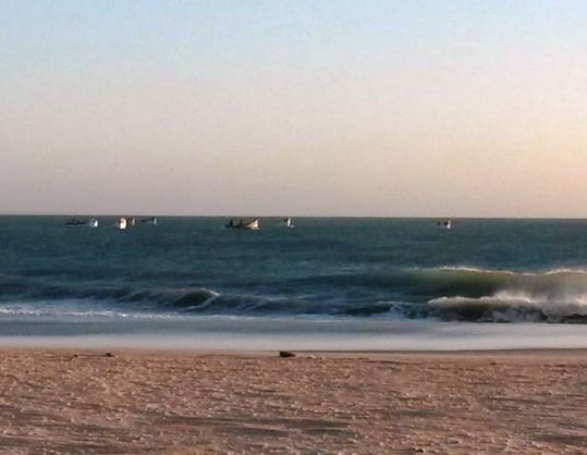 رغم قرار منع الصيد قوارب الصيد التقليدي بالداخلة تستعرض عضلاتها أمام أجهزة المراقبة البحرية