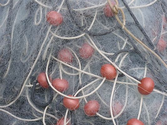 عودة الشباك المحضورة  محليا ودوليا  monofilament لغزو ميناء بوجدور