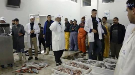 التقرير الاخباري لقناة المغرب الأزرق بميناء العيون حول منع سمك العبور