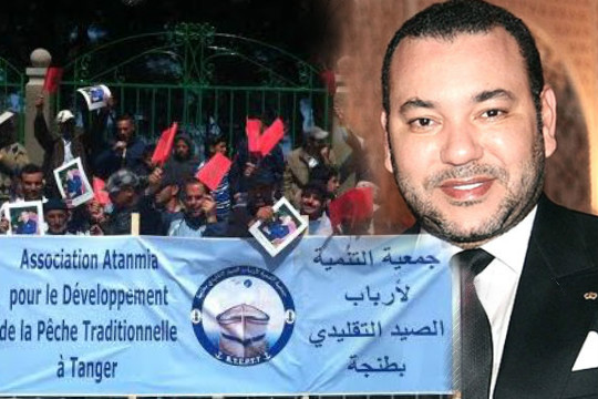جمعية التنمية لأرباب الصيد التقليدي بطنجة تحتفي بالزيارة الملكية الميمونة