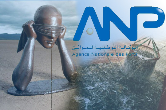 هل دخلت مديرية الموانئ بالداخلة على الخط  لنسف جهود وزارة الصيد البحري في ملف التناوب