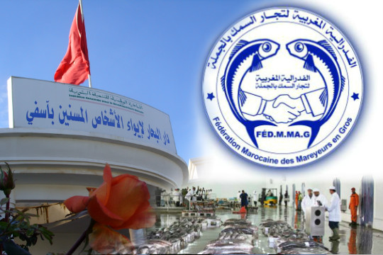 الفدرالية المغربية لتجار السمك تهنئ السيد محمد الحيداوي