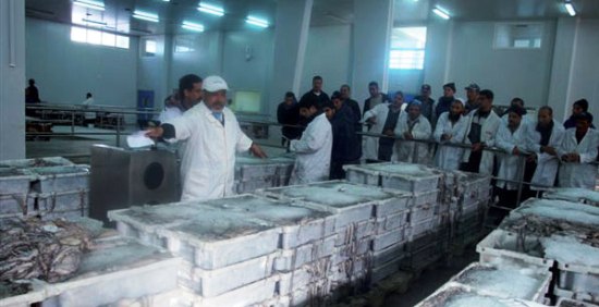 تجار السمك بالعيون ينتظرون الافراج عن البطائق المهنية