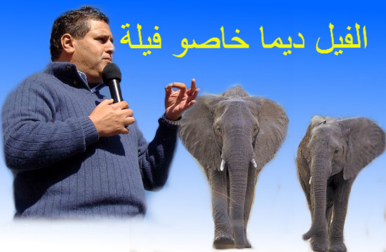 توجس كبير في صفوف مهنيي صيد السردين مما تعده سياسة أخنوش