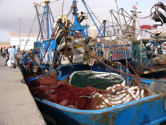 Le port de Tan Tan menacé de mort