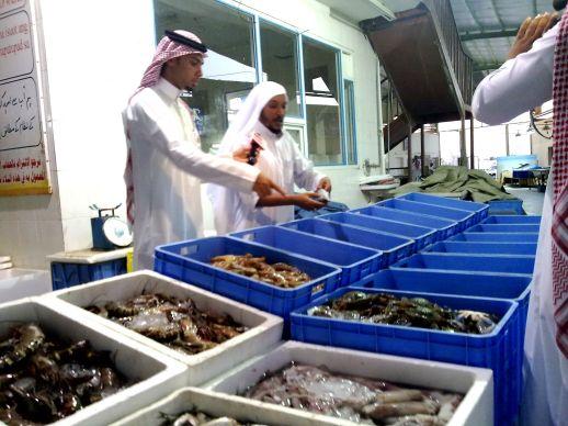 «التنمية السعودية» : خطة لتوطين نصف مليون وظيفة في «الأسماك»