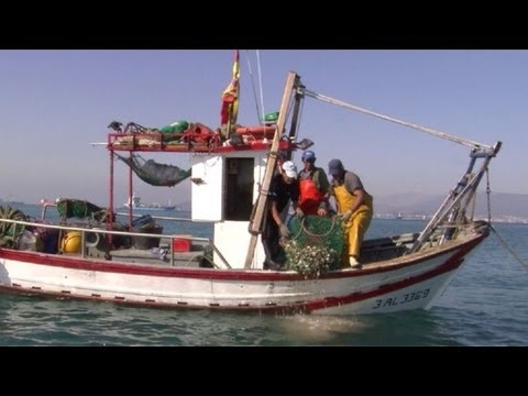 “توغلات”” السفن الإسبانية في مياه جبل طارق “”انتهاك متكرر لقانون البحار”””