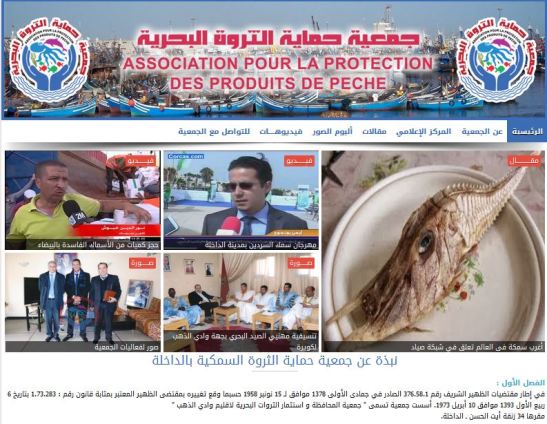 جمعية حماية الثروة البحرية بالداخلة تطلق بث موقعها الالكتروني