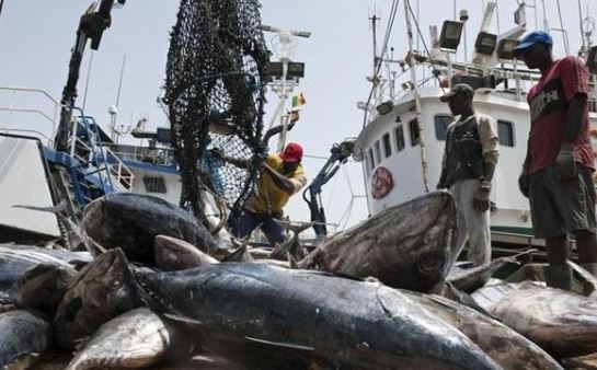 Les accords de pêche prévus pour entrer en vigueur début 2015