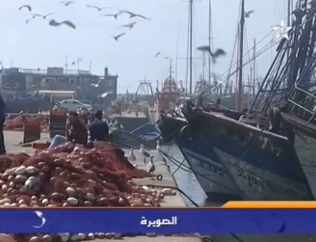 توقف شبه تام لبحارة الصيد بميناء الصويرة