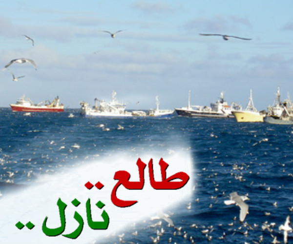 بعد توقيع عقود العمل ،بحارة للصيد باعالي البحار بالداخلة يتعرضون للطرد من العمل