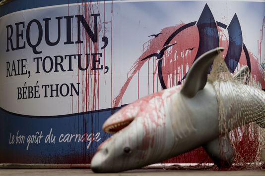 Petit Navire, gros dégâts