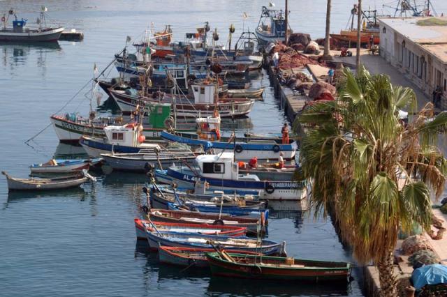 الجزائرتمنع 10آلاف صياد من ممارسة نشاطهم