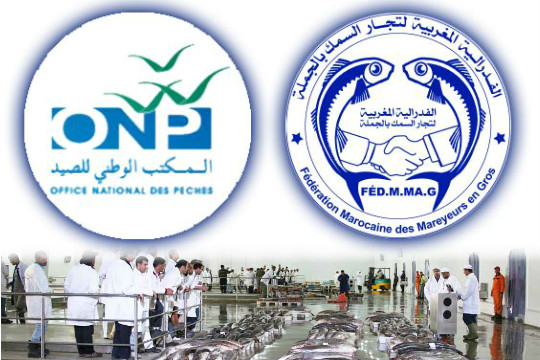 الفدرالية المغربية لتجار السمك بالجملة تدعو منخرطيها الى تجميد العمل بسجل التتبع