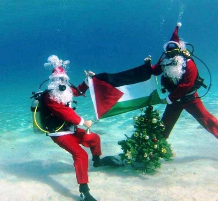 فريق نادي “Pal Diving”” يحتفل بعيد الميلاد الفلسطيني في أعماق البحر الآحمر”
