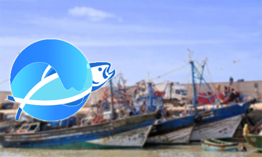 الكنفدرالية الوطنية للصيد الساحلي تصدر مجموعة من التوصيات في جمعها العام العادي