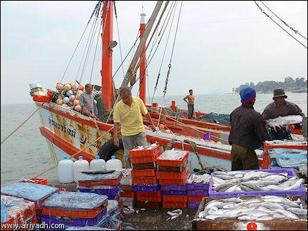 تايلاند تقر تشريعات جديدة لمحاربة استغلال عمال سفن الصيد