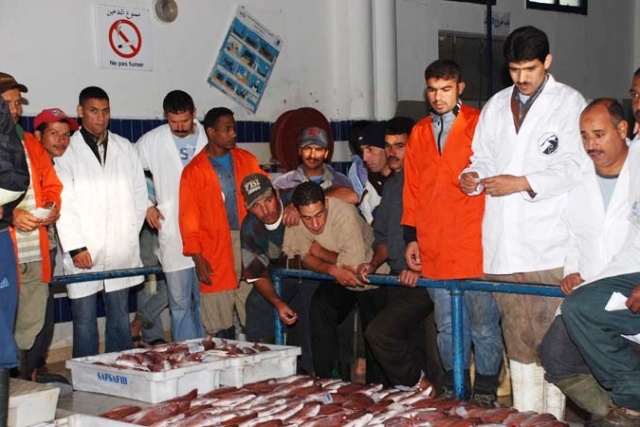 بلاغ كاذب يتسبب في خسائر و اضرار بمنتوجات بحرية بالداخلة