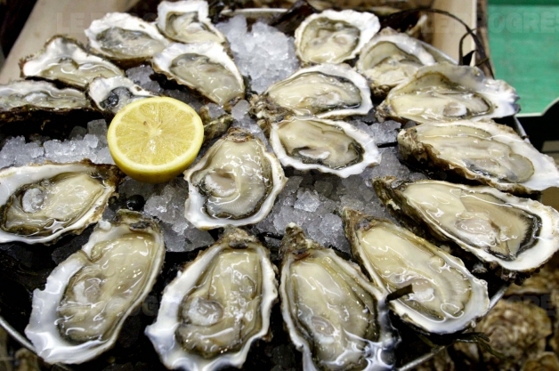 زيادة نسبة الحمضية فى البحار تهدد الأصداف البحرية