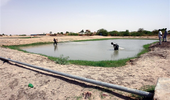 مباحثات مغربية سودانية لتعزيز التعاون بقطاع الثروة السمكية