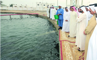 مساعي اماراتية لتطوير قطاع تربية الاحياء البحرية