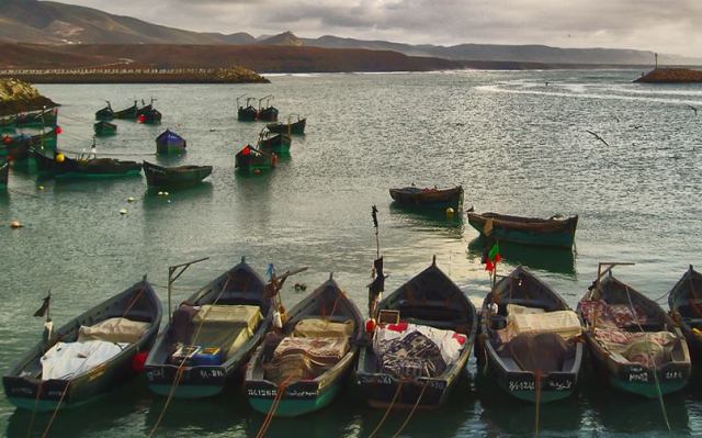 تفاعل ايجابي بين الادارة و مهني الصيد التقليدي حول ملف السويلكة