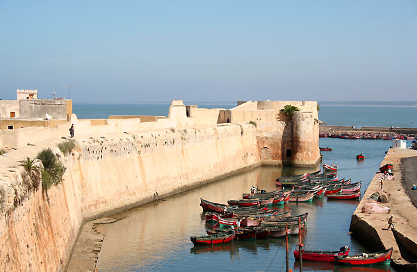 الفدرالية الكونفدرالية الوطنية لفعاليات الصيد البحري و الأحياء المائية تدعو مهنيي الصيد الى وحدة الكلمة