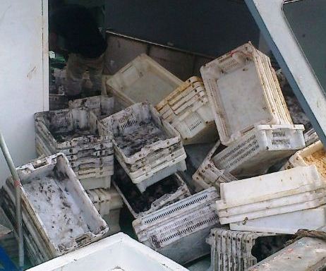 هل تبخر الوعد بتعميم الصناديق البلاستيكية