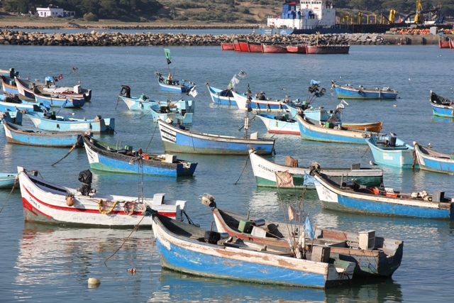 نقابة بحارة العرائش و مهنيو الصيد التقليدي يطالبون بلقاء رسمي مع الكاتبة العامة