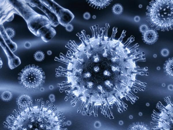 الميكروبيدات.. من منتجات التجميل إلى الأسماك البحرية  ثم إلى معدة المستهلك.. هل نحن في خطر؟