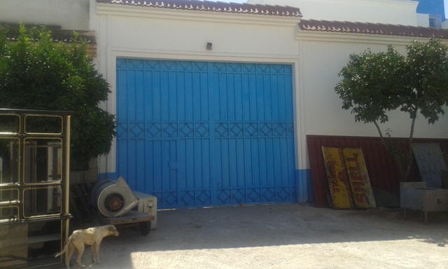 كلب سوق السمك بالعيون في مهام  جديدة بفاس