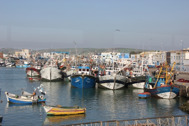 تهريب الاسماك بميناء العرائش لايزال رغم انفكم