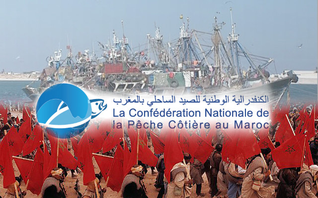 الكنفدرالية الوطنية للصيد الساحلي بالمغرب تهني جلالة الملك بمناسبة ذكرى المسيرة الخضراء