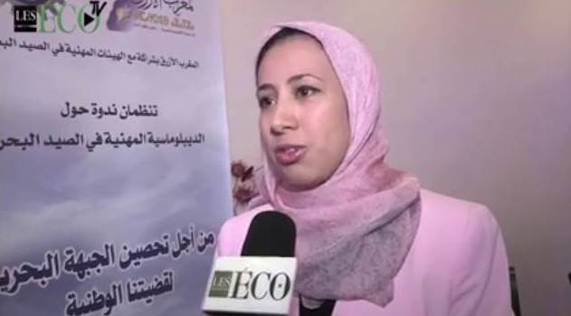 الديبلوماسية المهنية في قطاع الصيد البحري على قناة Les éco، فيديو .