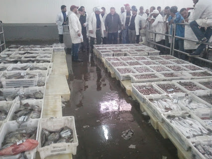 المكتب الوطني للصيد يدعوا الى اجتماع حول تدبيرالصناديق البلاستيكية