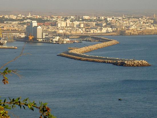 السمك “استحيا” من البشر في آسفي