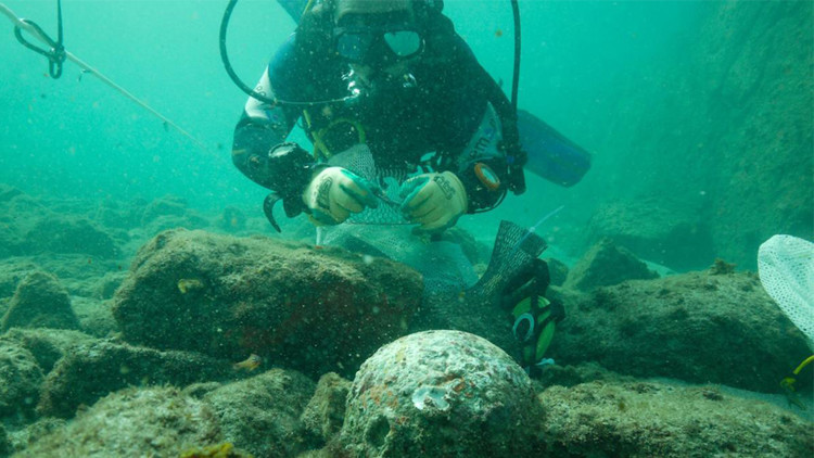 العثور على سفينة تابعة لأسطول فاسكو دي غاما