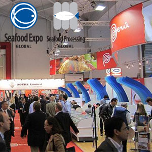 Bruxelles, capitale mondiale des produits de la mer