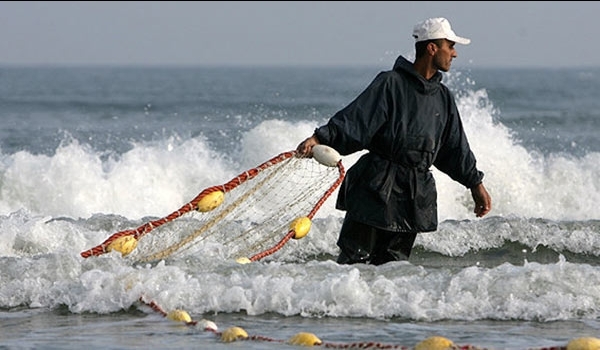 تطوير التعاون بين ايران وروسيا في مجال الثروة السمكية