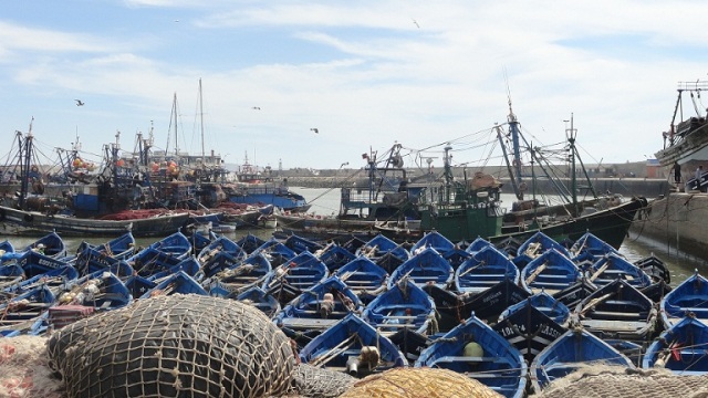 أمام تجاهل السلطات المعنية: قطاع الصيد البحري بالصويرة مهدد بالسكتة القلبية