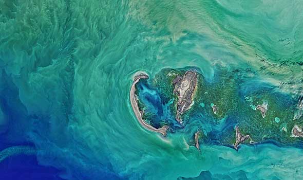 ناسا تنشر صورًا لندبات غريبة في المياه الضحلة في شمال بحر قزوين