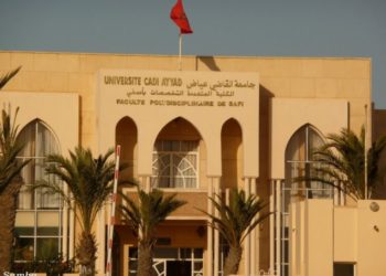 صناعة الصيد البحري وزراعة الأحياء البحرية التجارية (تربية الاسماك) محور ندوة دولية يومي خامس وسادس ماي الجاري بمدينة آسفي