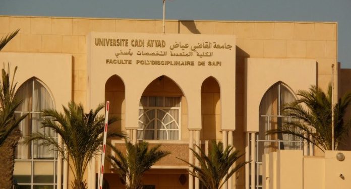 صناعة الصيد البحري وزراعة الأحياء البحرية التجارية (تربية الاسماك) محور ندوة دولية يومي خامس وسادس ماي الجاري بمدينة آسفي