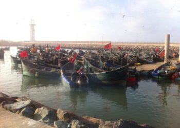 مهنيو الصيد التقليدي يدعون الى توسيع الحملة على استعمال الشباك الغير القانونية
