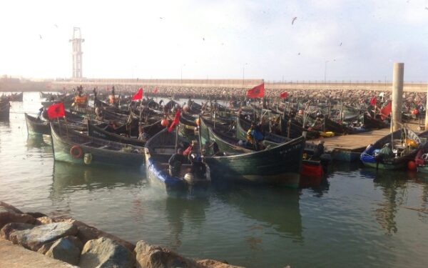 مهنيو الصيد التقليدي يدعون الى توسيع الحملة على استعمال الشباك الغير القانونية